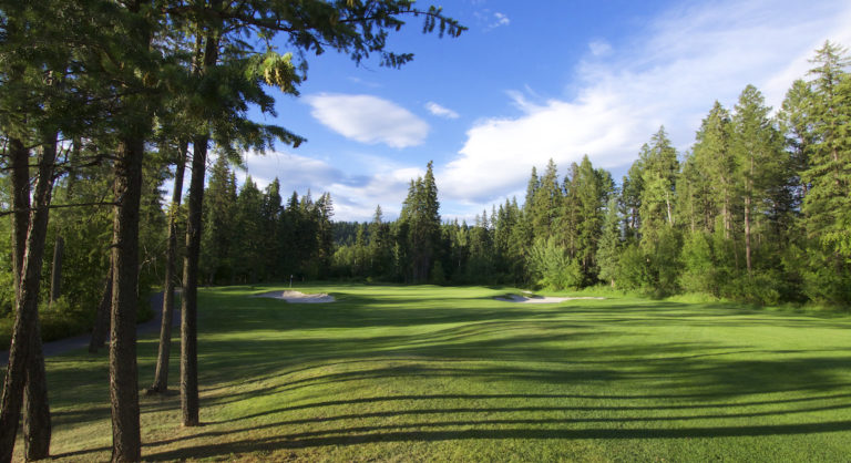 13th green from trees 1410072 copy 768x418