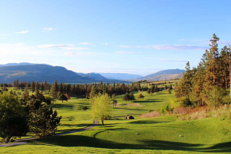 fairview mtn 4 tee 768x512