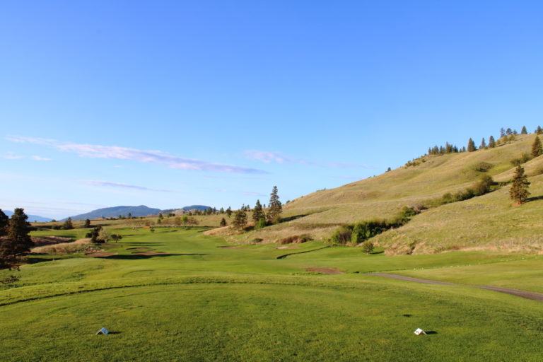 fairview mtn 5 tee 768x512